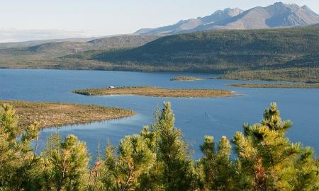 Taigoje slypi išteklius, dėl kurio kovoja visas pasaulis. Šis atradimas gali pakeisti akumuliatorių gamybos ateitį