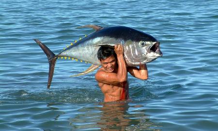 Brangiausia žuvis pasaulyje. Jis išleido turtus. Rekordus mušantis aukcionas (FOTO)