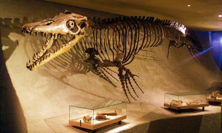 Jie rado kažką keisto po Antarktida. Paslaptingas kiaušinis glumina mokslininkus (FOTO)