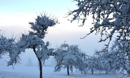 Sniegas kirto Europai: atšaukta šimtai skrydžių, kelios aukos. Paveiks ir Lietuvą  