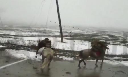 Aukštasis pilotažas. 21-ojo amžiaus ukrainiečiai preciziškai medžioja antikvarinius rusus (Video)