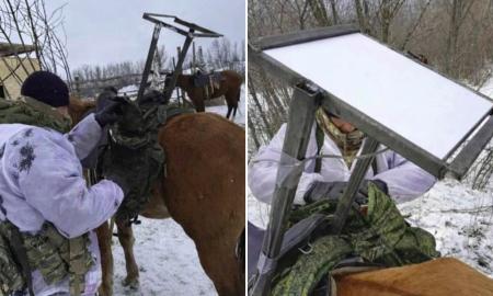 „Starlink“ joja ant arklio! Rusai pritvirtina antenas prie… balnų (FOTO, VIDEO)