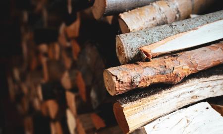 Lietuvoje niekas nekreipia dėmesio. Lenkai atranda pigų kurą. Šis malkų tipas – šio sezono hitas