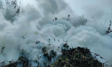 150:0. To dar nebuvo. Žaibiška operacija