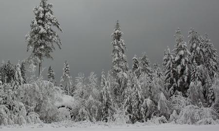 Žiema dar parodys dantis. Atšiaurios žinios