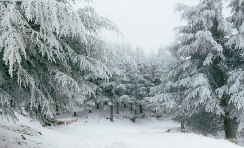 Asociatyvi nuotrauka