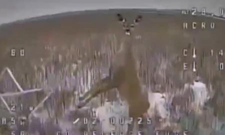 Netikėtas pasisveikinimas. Ukrainiečių dronas turėjo vengti puolimo (Video)