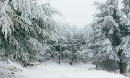 -40 °C riba: žiaurus temperatūros šuolis