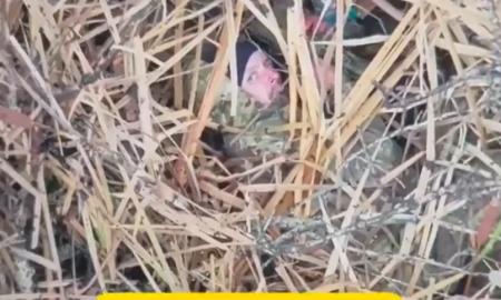 „Ką čia veiki, mažyli?“ Ukrainiečiai rado pasislėpusį rusą (Video)