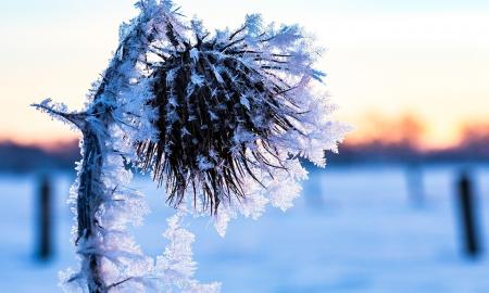 Ar įsivaizduojate tokią temperatūrą? „Neatmetama galimybė, kad šalyje bus minus 40 laipsnių Celsijaus“
