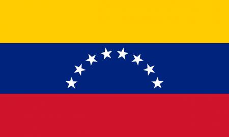 Didysis Venesuelos turtas. Tai ne nafta, dujos ar retieji Žemės metalai