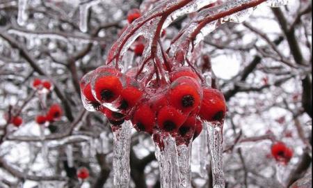 Lietuvoje – šalčio rekordas