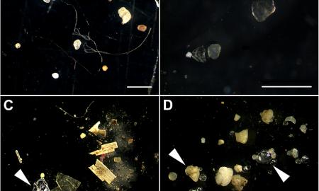 Išvengti mikroplastiko neįmanoma. Kaip sumažinti jo kiekį