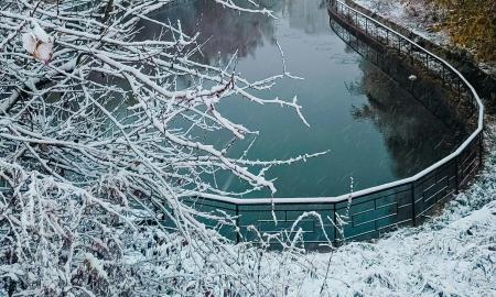 „Sausio 17-oji bus rekordinė.“ Stulpeliai kris žemyn