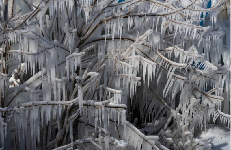 Asociatyvi nuotrauka