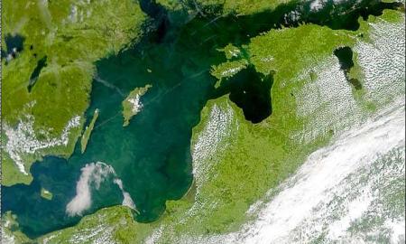 Jie ką tik tai atrado Baltijos jūroje. To ten neturėtų būti