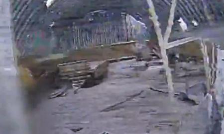 Ramiai apsižvalgo ir puola. Ypatinga šių laikų karo technologija (Video)