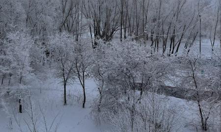 Kada pasitrauks stingdantis šaltis ir kodėl šiemet taip šalta?