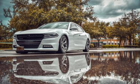 Vairuotojai grįžta prie automobilių su vidaus degimo varikliais. Jie atskleidė, kodėl