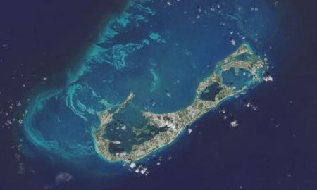 Vienintelis toks pasaulyje. Jie jį atrado netoli Bermudų