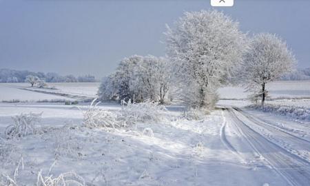 DI perspėja dėl „juodojo pirmadienio“: Lijundra bus tik pradžia
