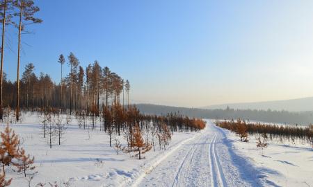 Visiems, kurie džiaugėsi pavasariu sausį: turime jums „ledo dozę“ (Grafikas)