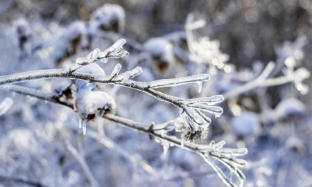 Tai ne paprastas šaltis: jau žinoma, koks bus vasaris