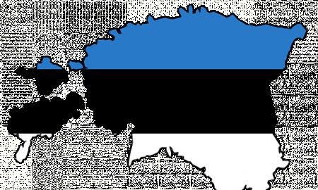 Pamirškite brangius „PATRIOT“: Ateina estų „mažyliai“ (Video)