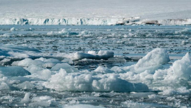 Asociatyvi nuotrauka