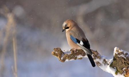 -30°C vasarį? Taip, perskaitėte teisingai