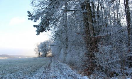 Visų laikų Lietuvos šalčio rekordas: sinoptikai įspėja (Žemėlapis)