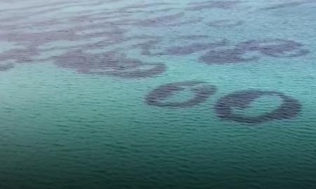 Nežemiškas vaizdas, nufilmuotas pirmą kartą! Paslaptingų apskritimų atsiradimo priežastis verčia iš klumpių (Video)