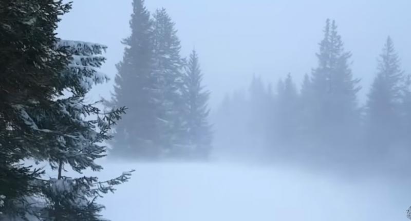 Asociatyvi nuotrauka