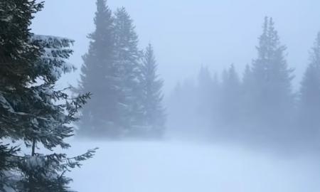 Nenumatytas „Ventusky“ pranešimas: parodė, kada speigas pasitrauks iš Lietuvos