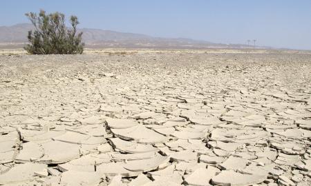 Pamatysime vaizdus, kuriuos anksčiau matėme tik filmuose: šiurpi prognozė 2026-ųjų pavasariui