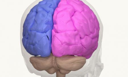 Panika be telefono? Mokslininkai perspėja: tavo smegenys jau pasikeitė