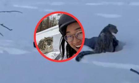 Jai pavyko nufotografuoti. Po akimirkos įvyko tragedija (Video)