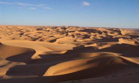 [ŽT] Statybų revoliucija: mokslininkai sukūrė betoną iš dykumos smėlio ir medienos