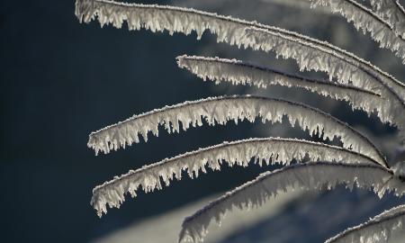 Skandinavija vėl ruošia bombą: šokiruojanti prognozė