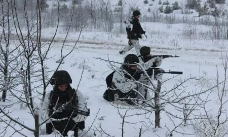 Baltarusijos armija atidengė ugnį! 6 km nuo Lietuvos sienos. Kažkas prasidėjo