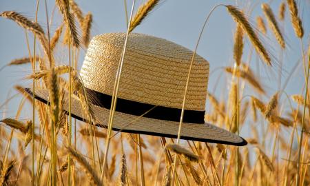 Sniegas tirpsta lėtai, bet vasara ateis su trenksmu: štai kada laukti lūžio