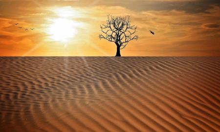 Nuo -25 °C iki +35 °C? „El Niño“ grįžta