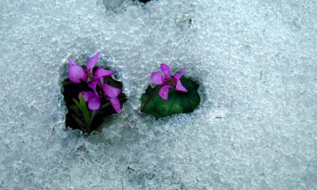 Gamtos kodas iššifruotas: sužinokite, kokį vasario košmarą išpranašavo senovinis burtas