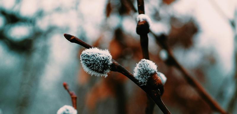 Asociatyvi nuotrauka