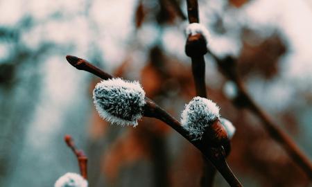 Žiema kapituliuoja. NASA skelbia verdiktą: štai kada tai įvyks