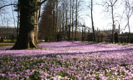 Kada pagaliau pabus gamta? Sinoptikai įvardijo tikslią 2026-ųjų pavasario pradžią