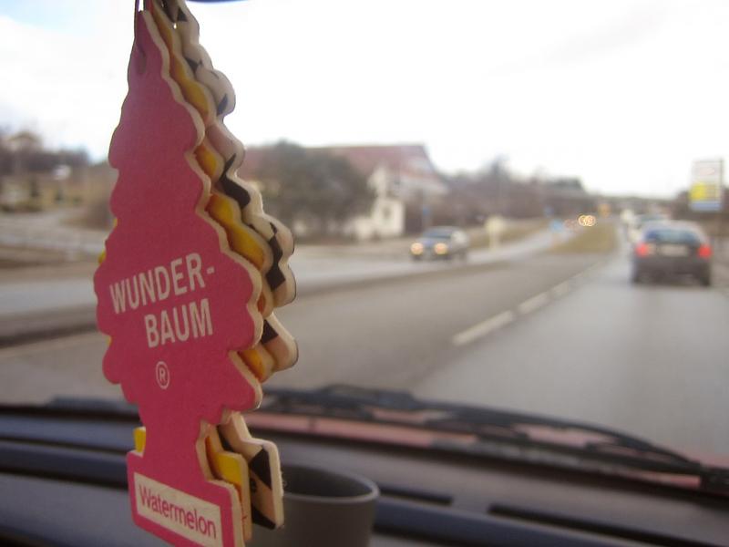 Wunder-baum