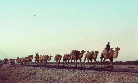 Ar Šilko kelias turėjo konkurentą? Atrado įdomią užuominą (FOTO)