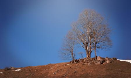 180 laipsnių posūkis: 2026-ųjų pavasaris perrašys visus mokslo vadovėlius