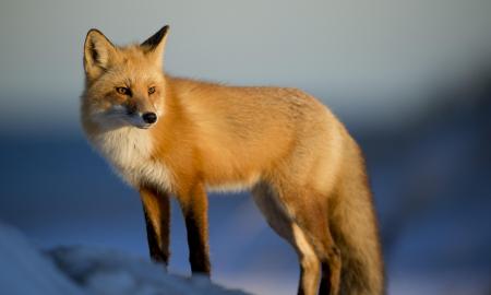 Laukėte saulės? Štai ką sinoptikai pamatė naujausiuose žemėlapiuose – šito nesitikėjo niekas
